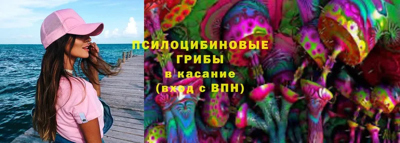 Галлюциногенные грибы Magic Shrooms  хочу наркоту  Нестеровская 